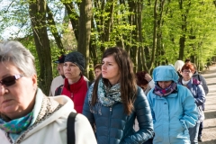 FOTA6231_rs