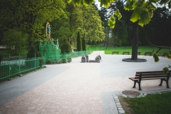 FOTA6356-2_rs