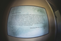 FOTA6577_rs