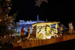 SONY DSC