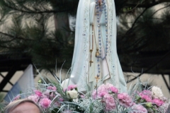 SONY DSC
