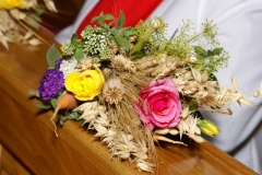 SONY DSC