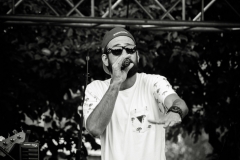 FOTA2549_rs
