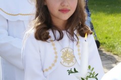 SONY DSC