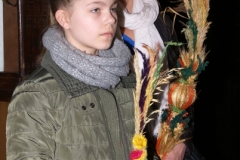 SONY DSC