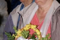 SONY DSC
